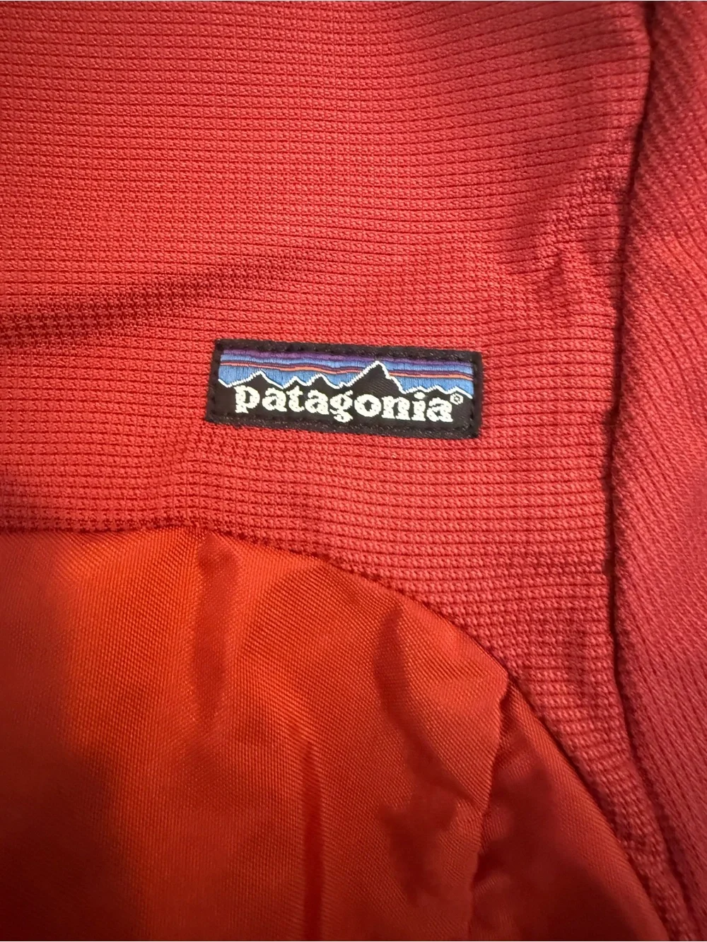 Patagonia Red and Black Everyday Backpack
